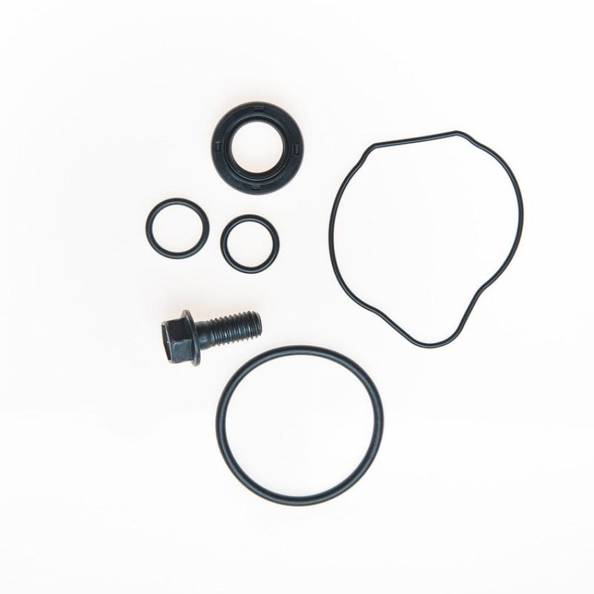 Edelmann 9118 PUMP SEAL KIT