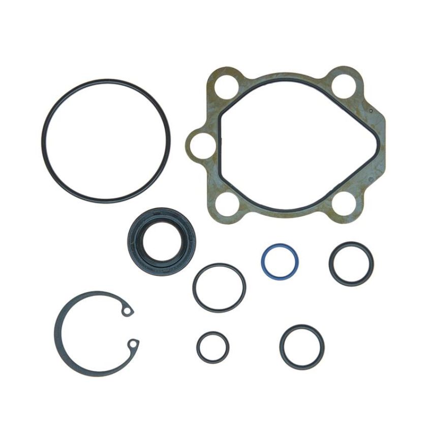 Edelmann 9154 PUMP SEAL KIT