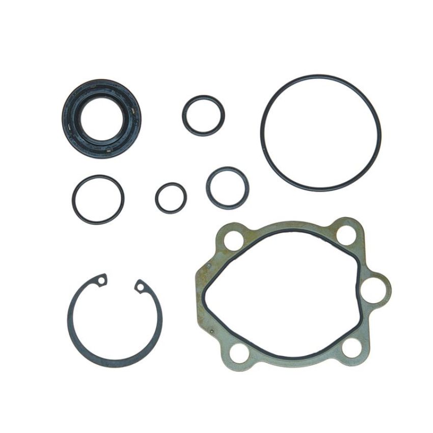 Edelmann 9158 PUMP SEAL KIT