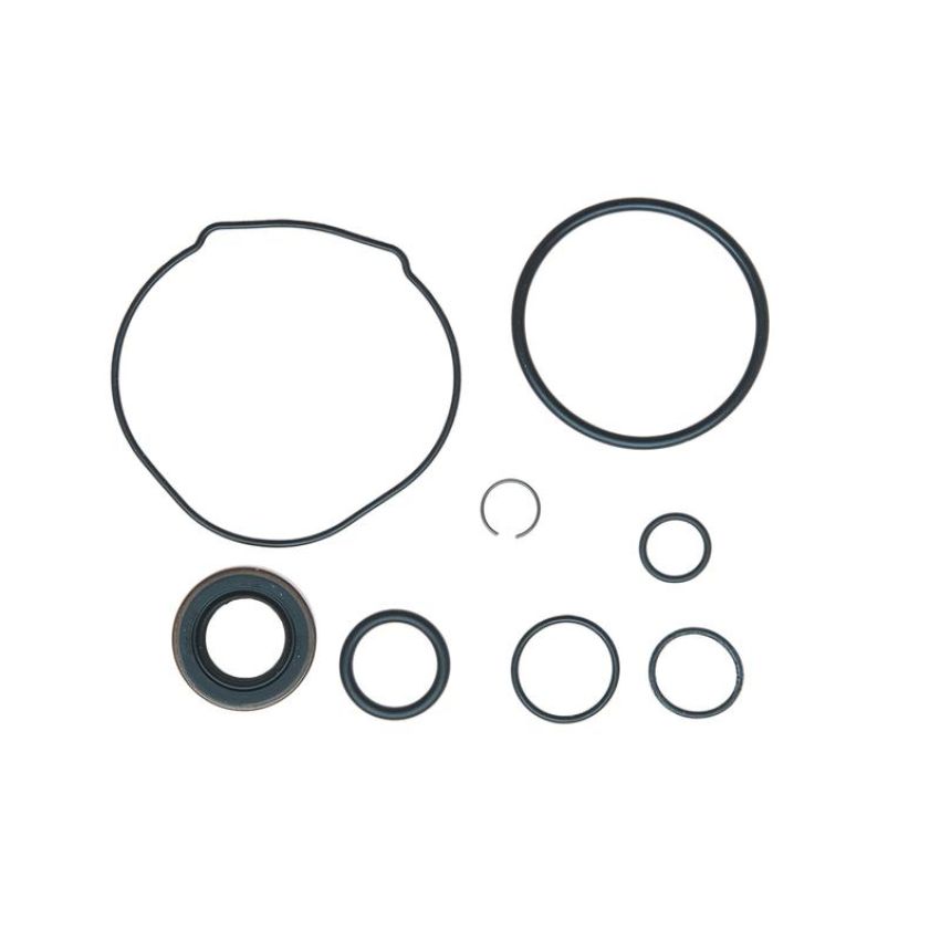Edelmann 9180 PUMP SEAL KIT