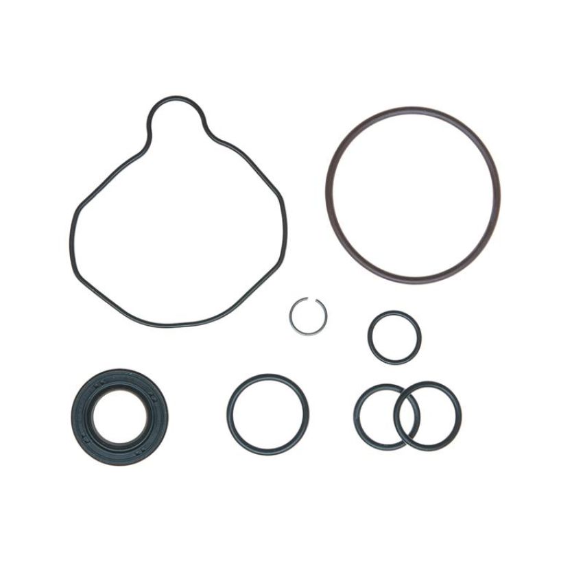 Edelmann 9211 PUMP SEAL KIT