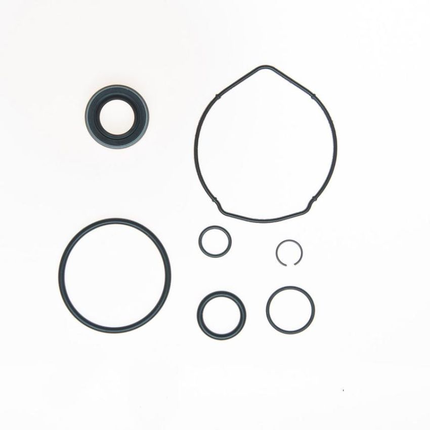 Edelmann 9222 PUMP SEAL KIT