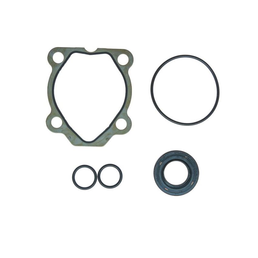 Edelmann 9237 PUMP SEAL KIT