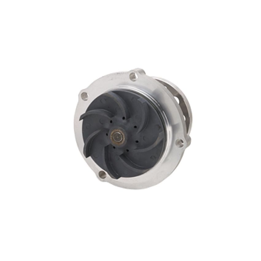 Dayco DP1002 Water Pump