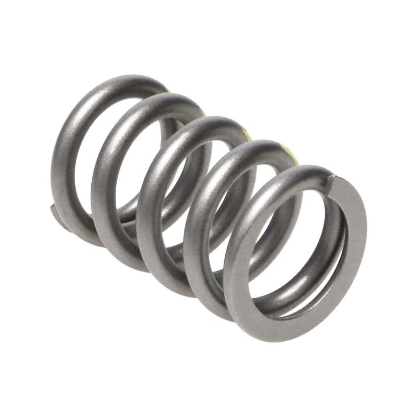Manley Performance 22130-24 Manley Toyota Supra (2JZGT 2JZGTE 6 cyl) 24pc Valve Springs