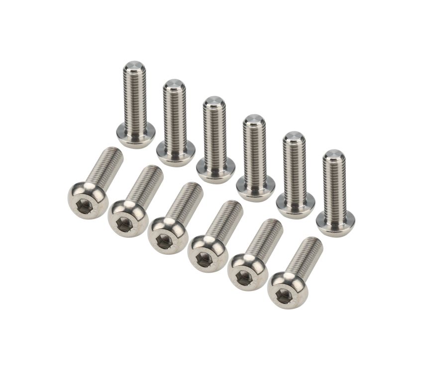 ALLSTAR PERFORMANCE ALL17008 Fuel Tank Top Plate Fastener Kit Titanium