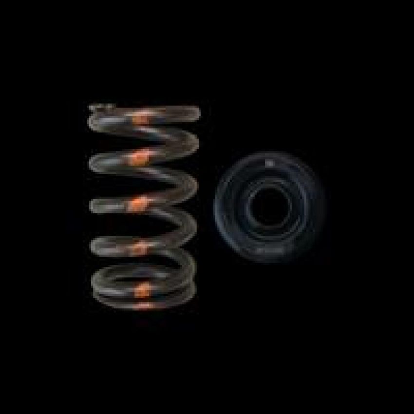 Brian Crower BC0400S Mazda MZR Valve Spring & Retainer - Steel Retainers