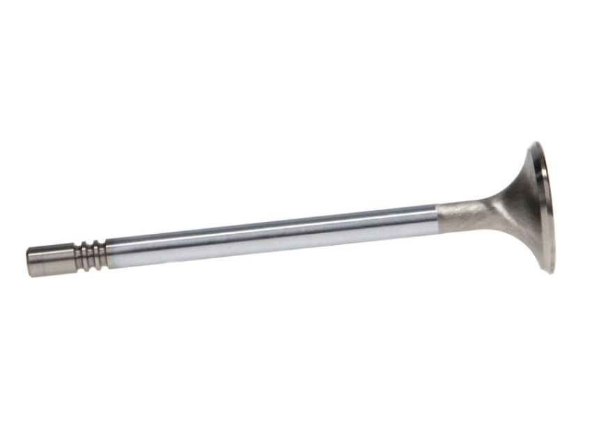 Manley 116251 Manley Valve - Exhaust, Valve-FD 5.0L R/M 31.5mm