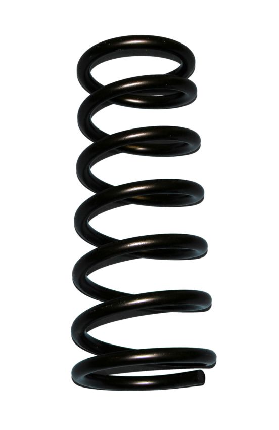 Skyjacker D20 2IN. 94-UP DGE 1/2 TON COILS