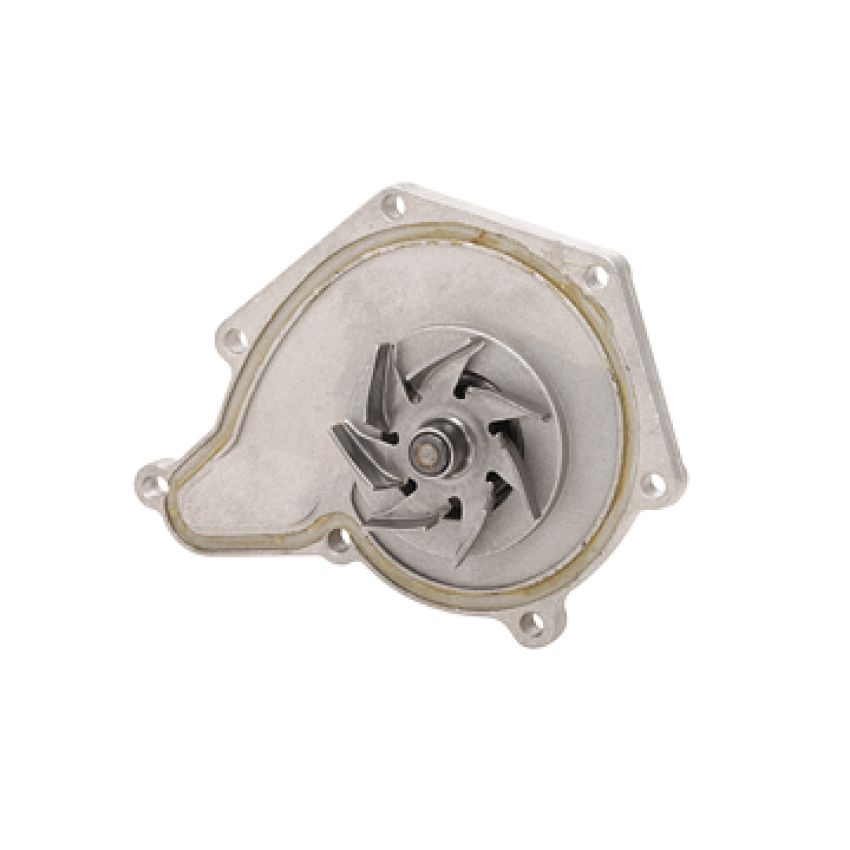 Dayco DP1252 Water Pump