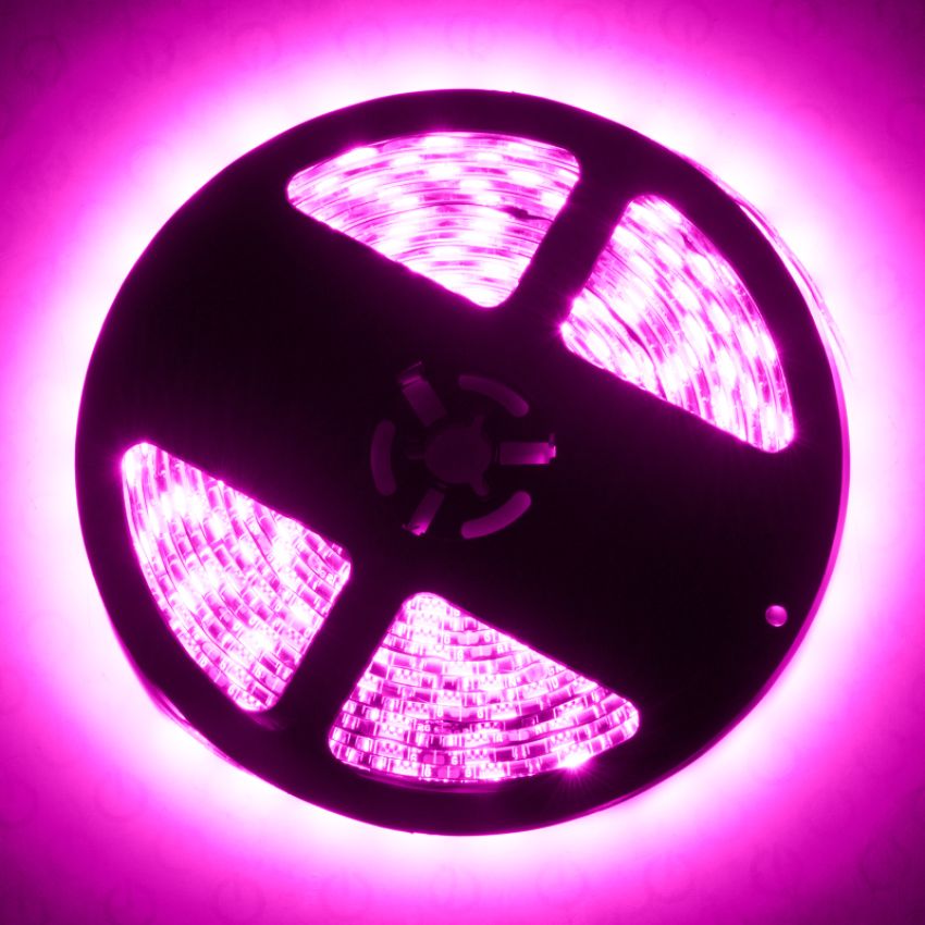 Oracle Lighting 4221-009 Interior Flex LED Spool, Pink