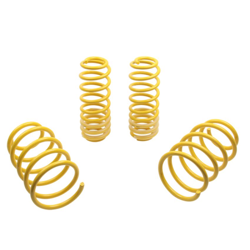 Suspension (65627 ST LOWERING SPRINGS)