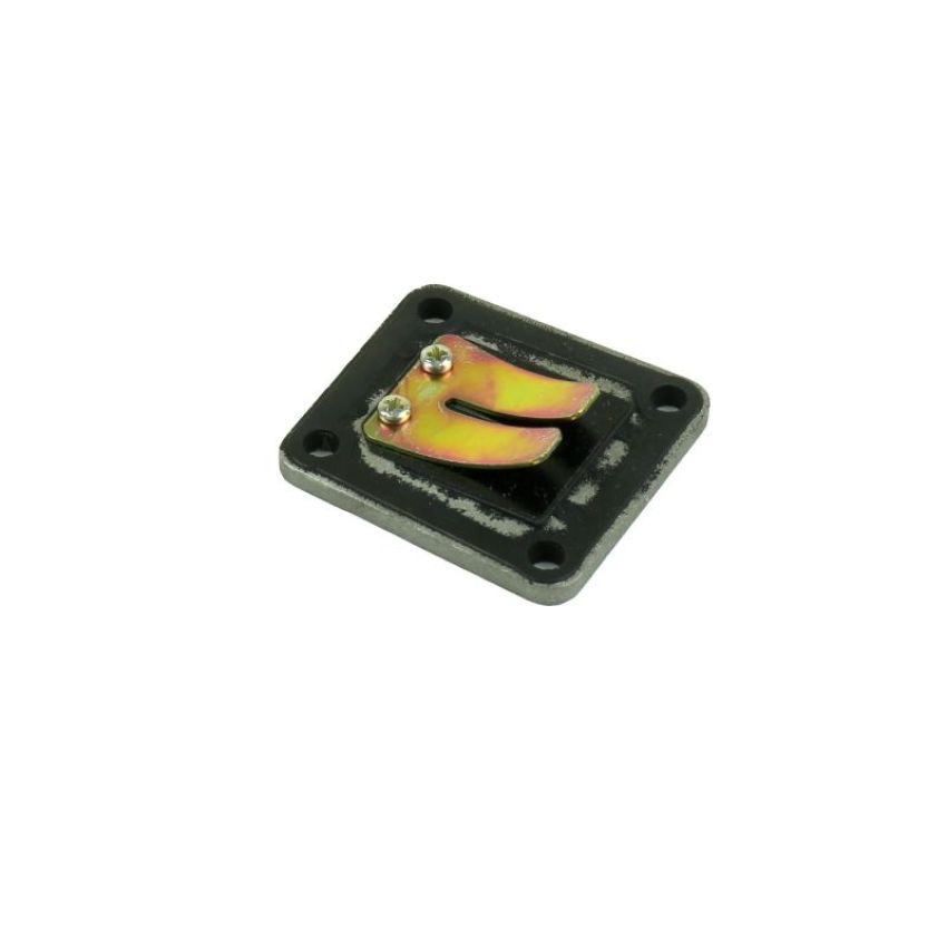 Athena 002312 Intake/Exhaust Valves