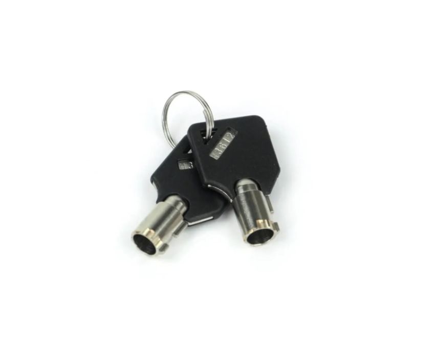 Weigh Safe WS09 Keys (Identify Key Code) - Set of 2
