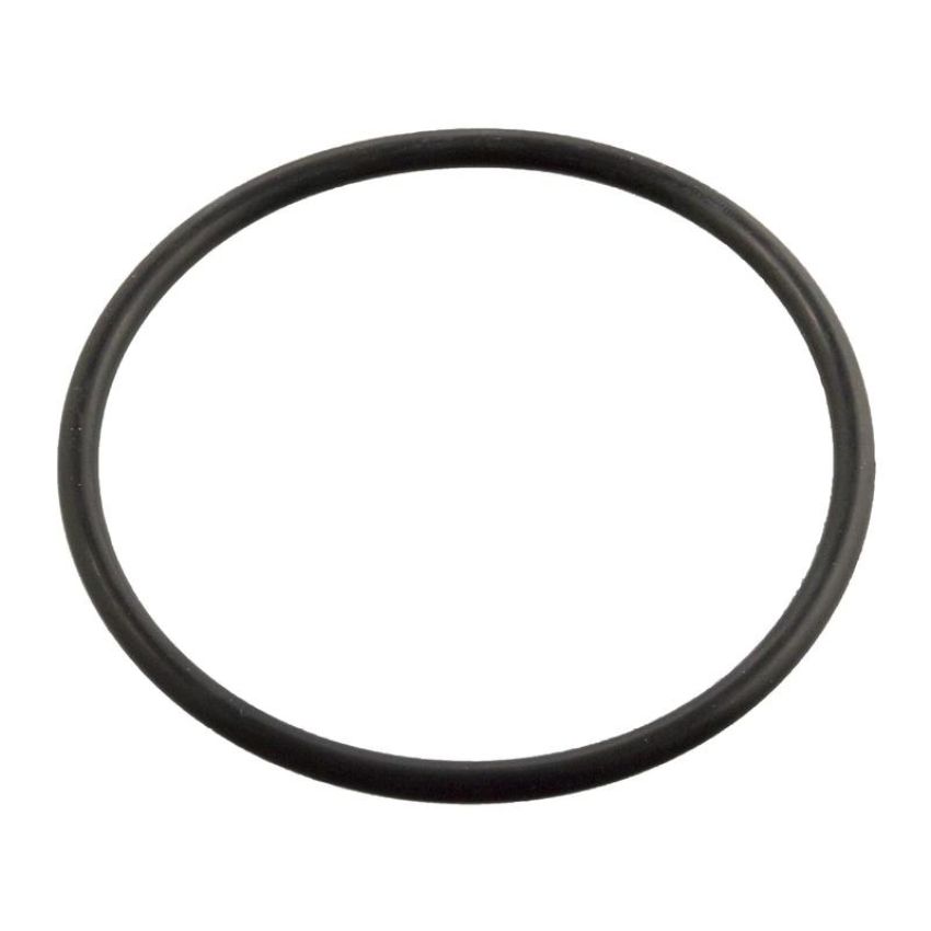 FEBI 11443 Sealing Ring for thermostat