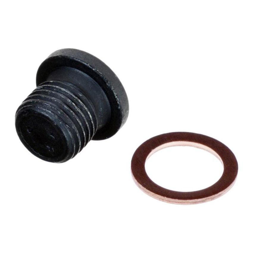 FEBI 171173 Oil Drain Plug with sealing ring