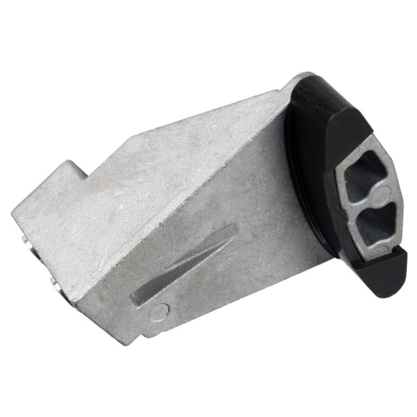 FEBI 24919 Guide Rail for timing chain