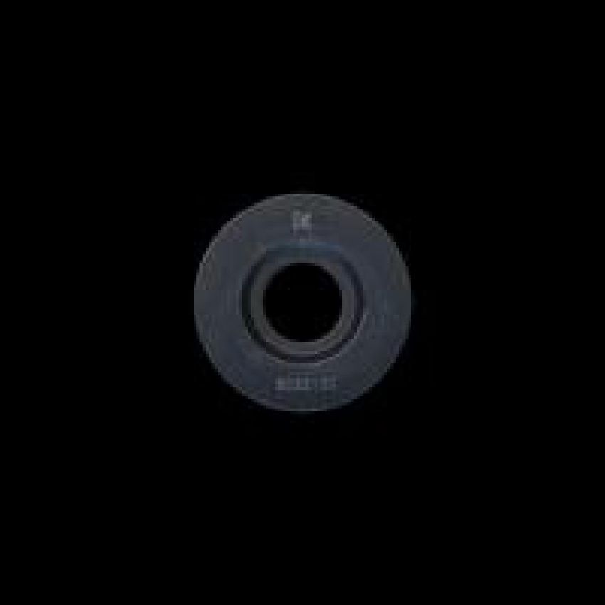 Brian Crower BC2210S Nissan KA24DE Steel Retainers