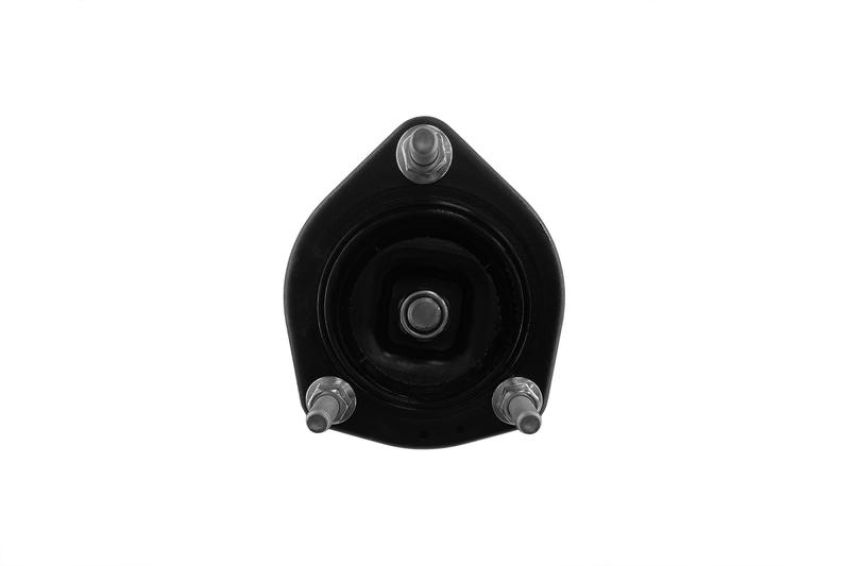 FCS Struts 1331613R Suspension Strut and Coil Spring Assembly