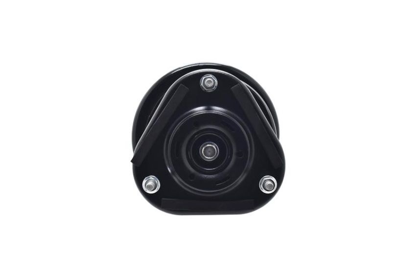 FCS Struts 1331620R Suspension Strut and Coil Spring Assembly