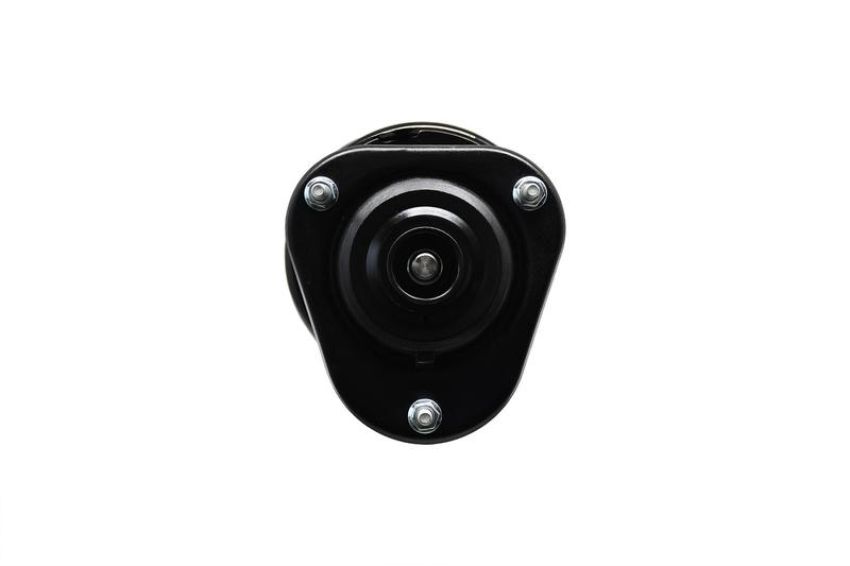 FCS Struts 1331621L Suspension Strut and Coil Spring Assembly