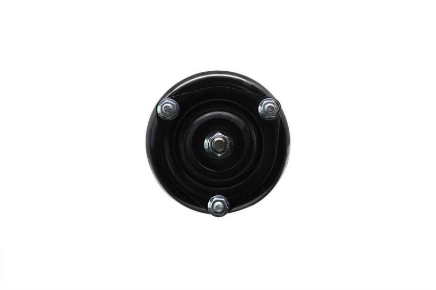 FCS Struts 1331651L Suspension Strut and Coil Spring Assembly