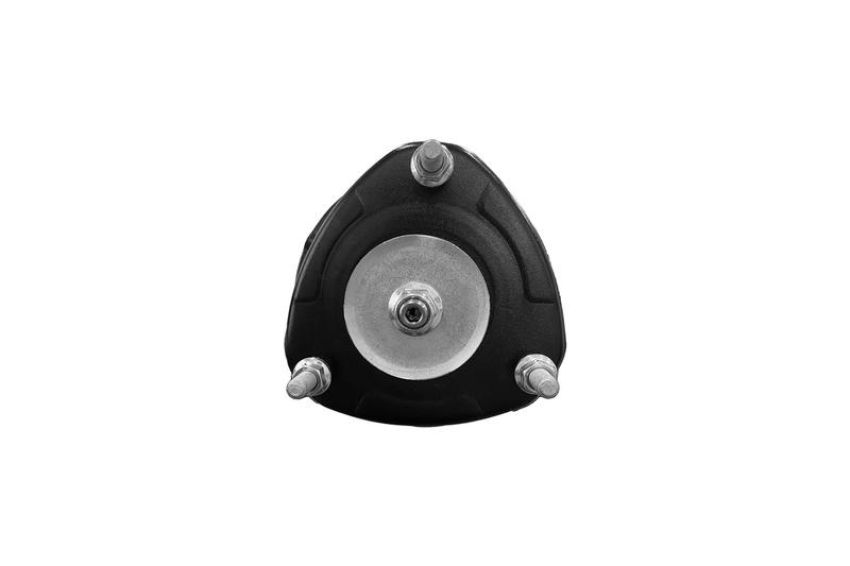 FCS Struts 1331715L Suspension Strut and Coil Spring Assembly