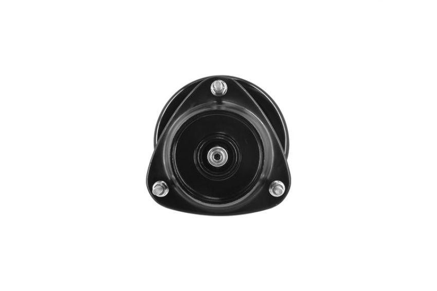 FCS Struts 1331750L Suspension Strut and Coil Spring Assembly