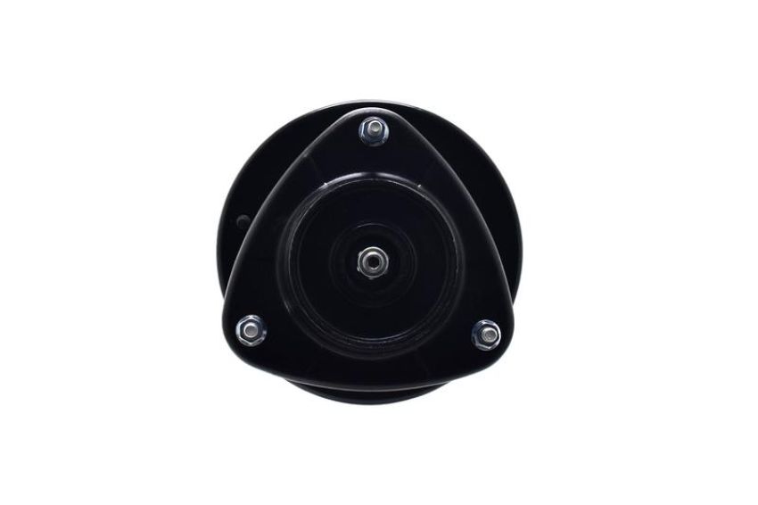 FCS Struts 1331762L Suspension Strut and Coil Spring Assembly