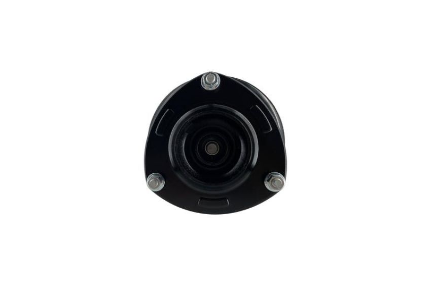 FCS Struts 1331900L Suspension Strut and Coil Spring Assembly