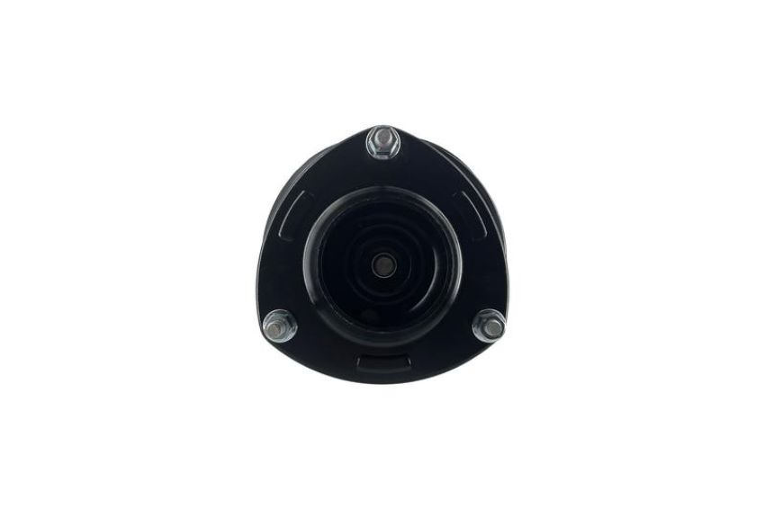 FCS Struts 1331900R Suspension Strut and Coil Spring Assembly