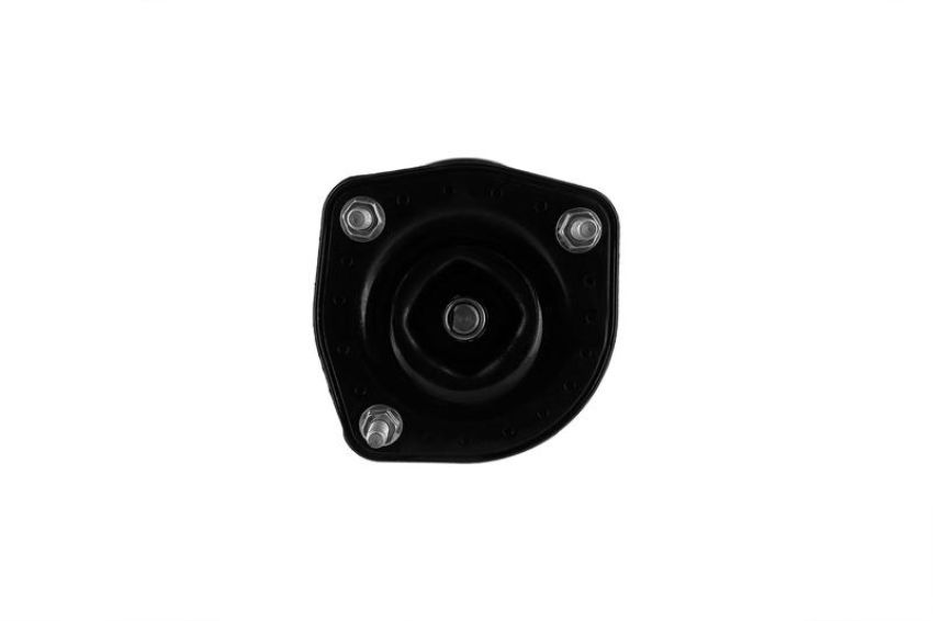 FCS Struts 1331901R Suspension Strut and Coil Spring Assembly