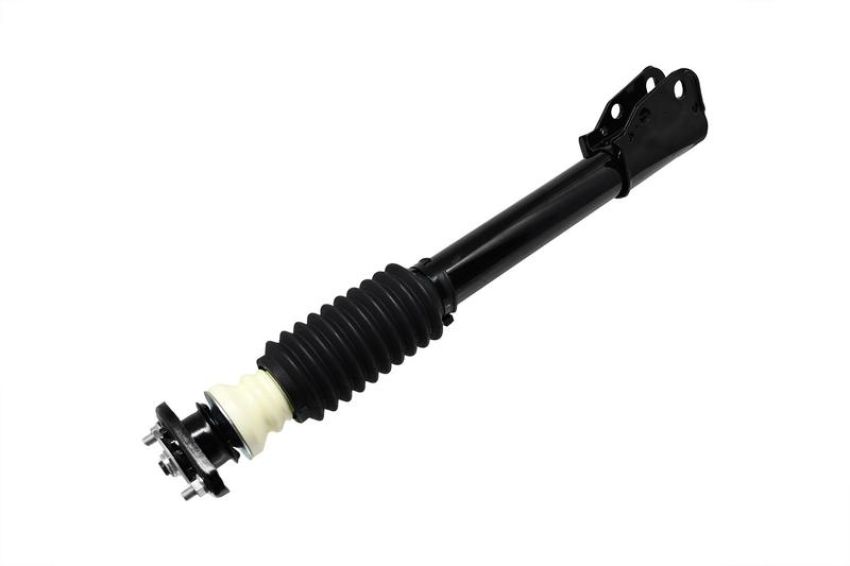 FCS Struts 1332310 Suspension Strut and Coil Spring Assembly
