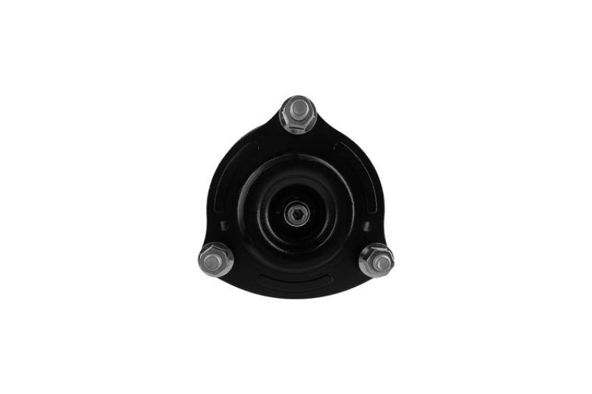 FCS Struts 1333466R Suspension Strut and Coil Spring Assembly