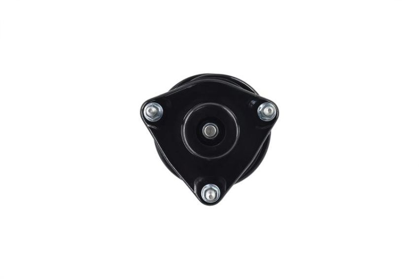 FCS Struts 1333504L Suspension Strut and Coil Spring Assembly
