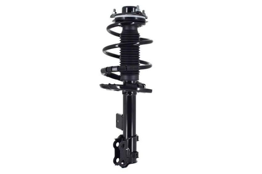 FCS Struts 1334099L Suspension Strut and Coil Spring Assembly