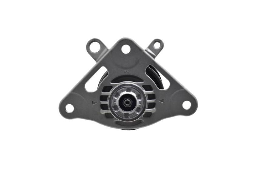 FCS Struts 1334309R Suspension Strut and Coil Spring Assembly