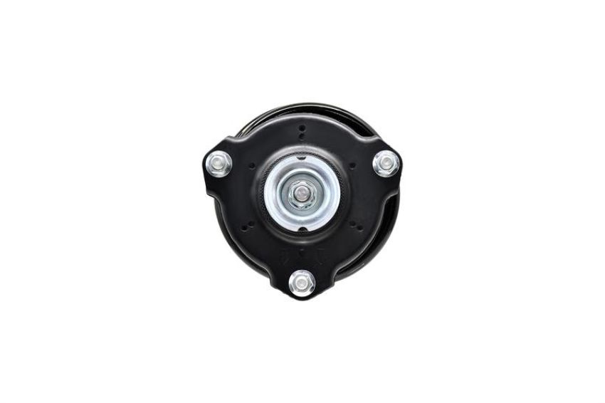 FCS Struts 1334490L Suspension Strut and Coil Spring Assembly