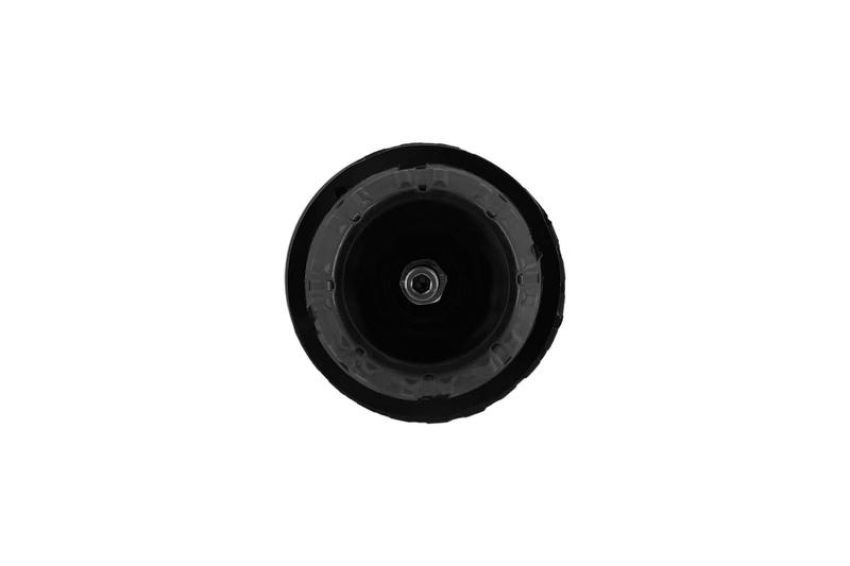 FCS Struts 1335383L Suspension Strut and Coil Spring Assembly