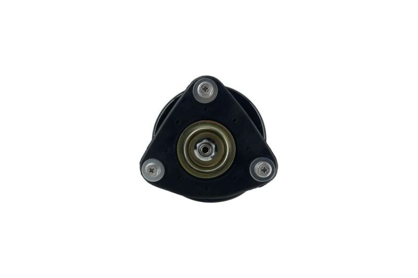 FCS Struts 1336311L Suspension Strut and Coil Spring Assembly