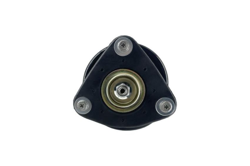 FCS Struts 1336311R Suspension Strut and Coil Spring Assembly