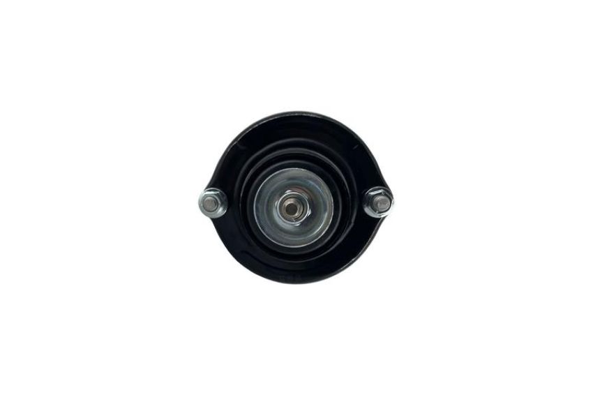 FCS Struts 1336319L Suspension Strut and Coil Spring Assembly