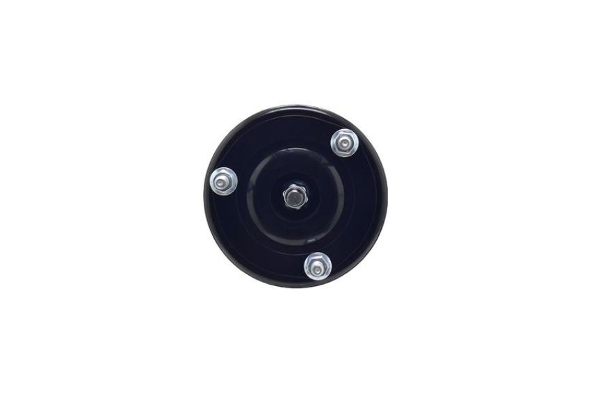 FCS Struts 1343362R Suspension Strut and Coil Spring Assembly