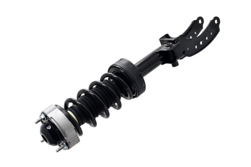FCS Struts 1355039L Suspension Strut and Coil Spring Assembly