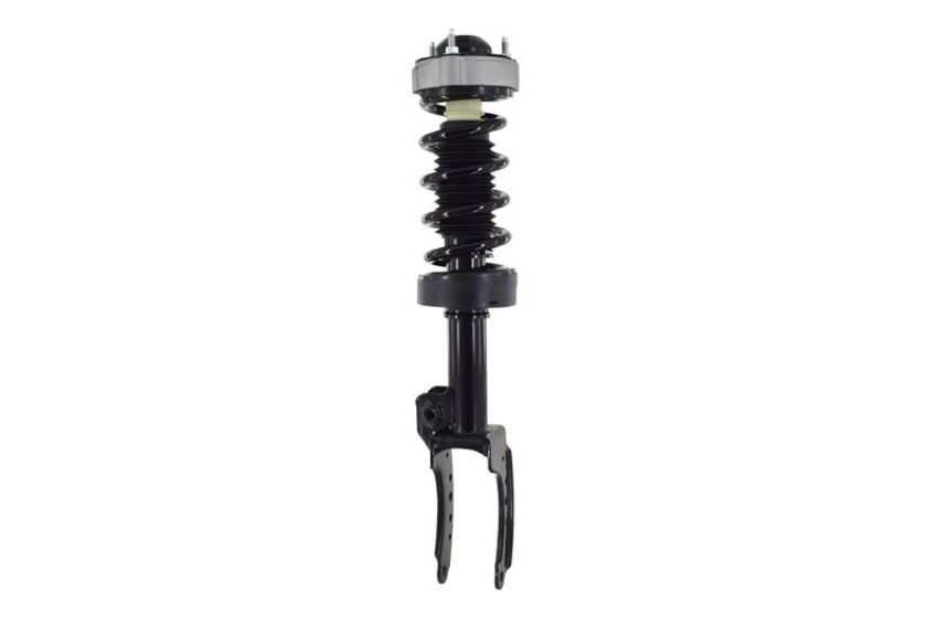FCS Struts 1355039L Suspension Strut and Coil Spring Assembly