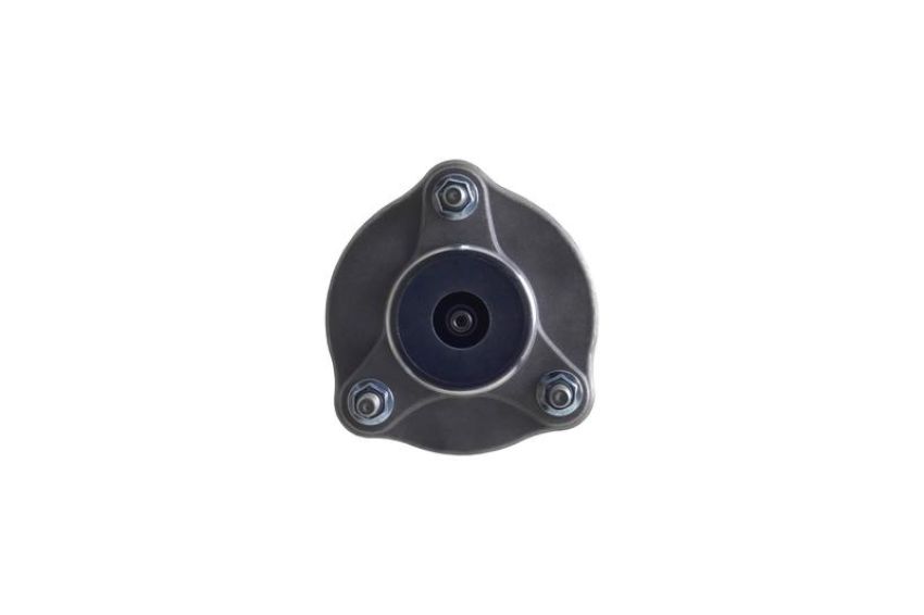 FCS Struts 1355172L Suspension Strut and Coil Spring Assembly