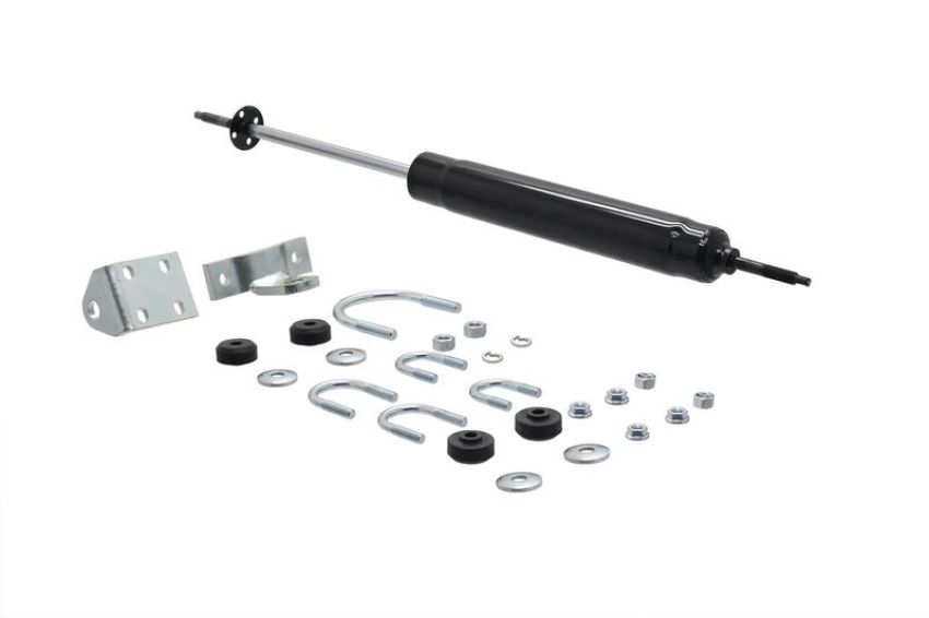 FCS Struts 226333 Steering Damper