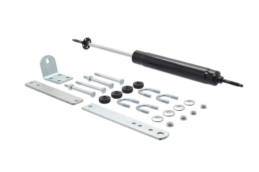FCS Struts 226334 Steering Damper