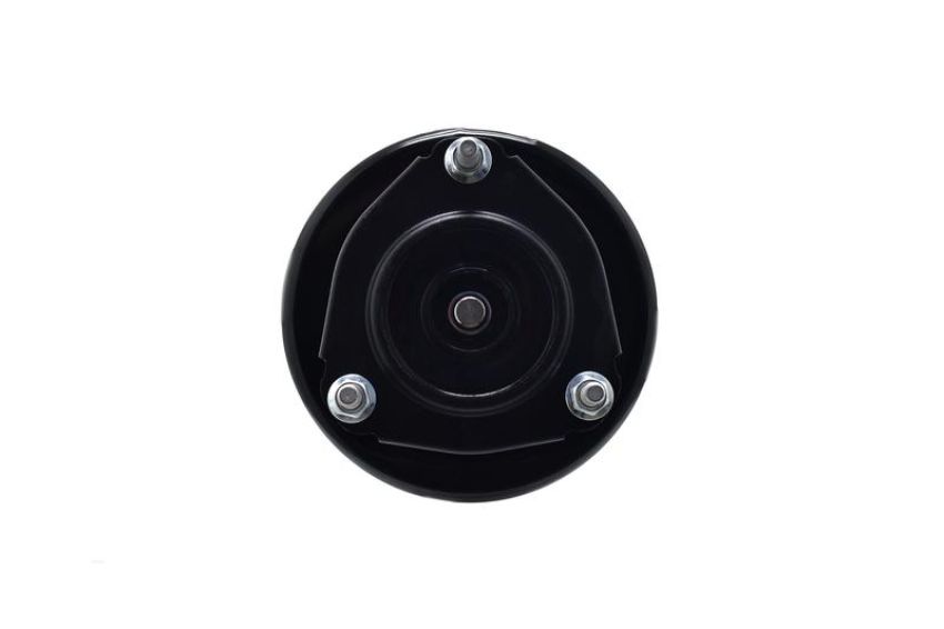 FCS Struts 2331604L Suspension Strut and Coil Spring Assembly