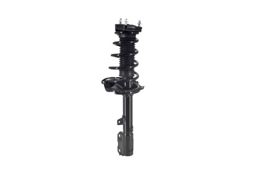FCS Struts 2331613L Suspension Strut and Coil Spring Assembly